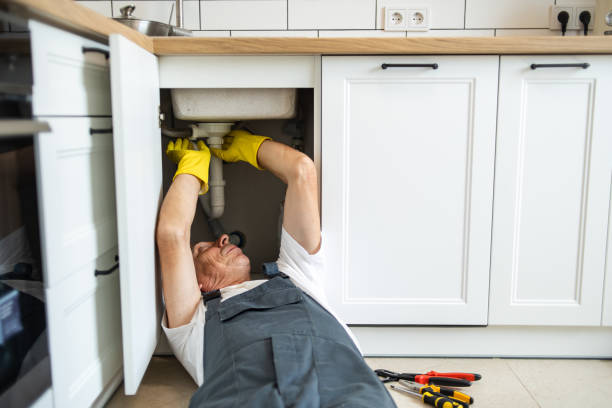 Best Plumbing Inspections & Maintenance in Saluda, SC